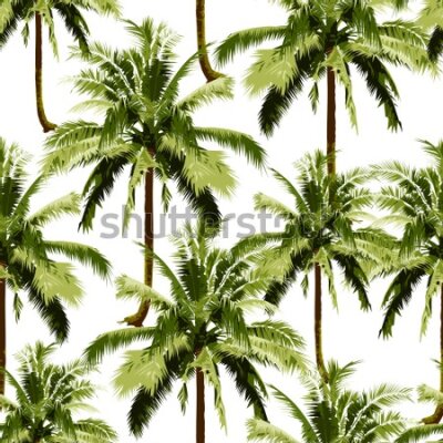 Tapeta Drzewa palmy zieleń do pokoju młodzieżowego