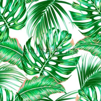 Tapeta Hawajskie egzotyczne liście