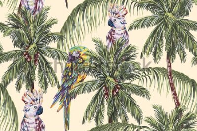 Tapeta Kolorowe papugi na palmach