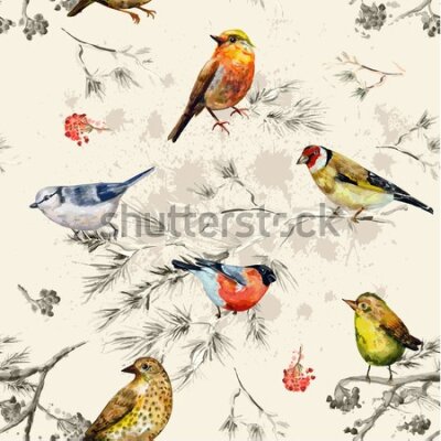 Tapeta Kolorowe ptaki jak malowane