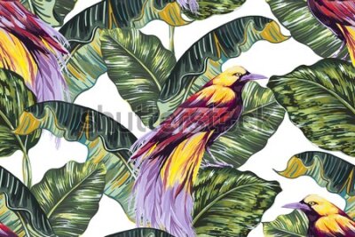 Tapeta Kolorowe ptaki z tropikalnymi liśćmi