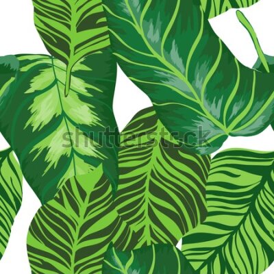 Tapeta Minimalistyczne zielone liście tropikalne