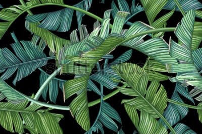 Tapeta Modne liście palmowe na czarnym tle