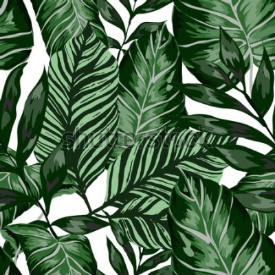 Tapeta Modne malowane liście tropikalne