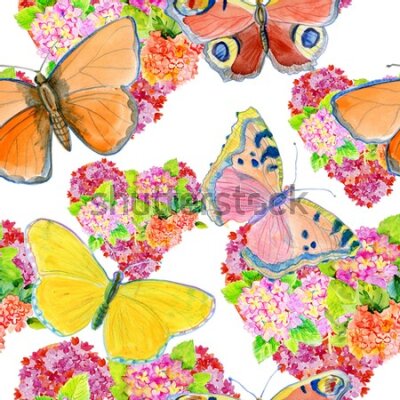 Tapeta Motyle, kolorowe kwiaty, pokój dziecięcy