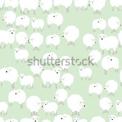 Tapeta Owce na zielonym tle