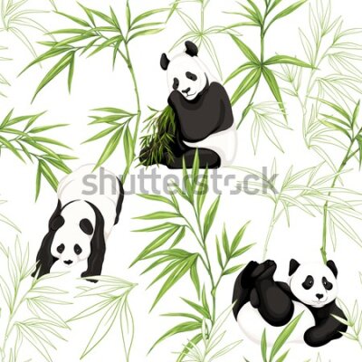 Tapeta Pandy z roślinami