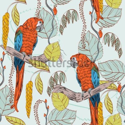 Tapeta – Piękne kolorowe papugi