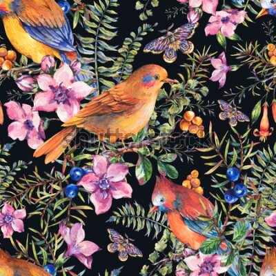 Tapeta – Piękne kolorowe ptaki i motyle