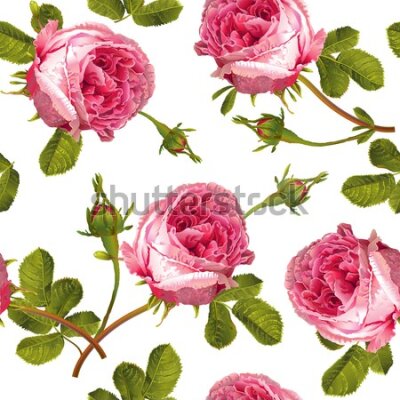 Tapeta Róże z liśćmi na białym tle