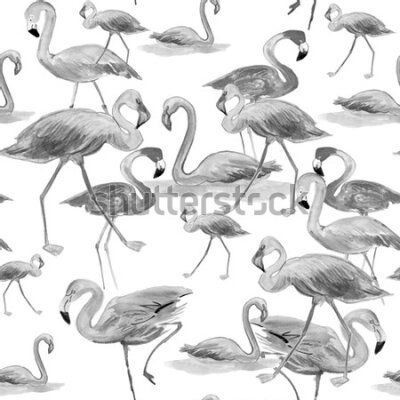 Tapeta Ścienna do salonu, flamingi, ptaki, natura