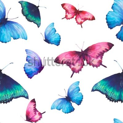 Tapeta Ścienna, kolorowe motyle, do pokoju dziecka