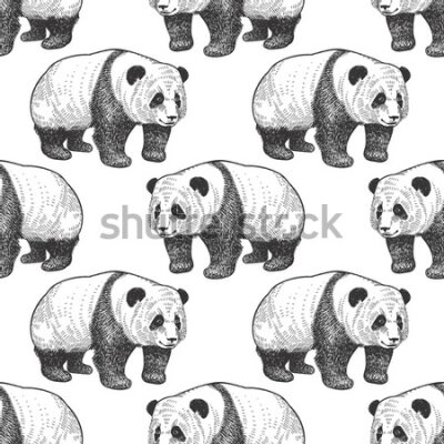 Tapeta Spacerujące pandy