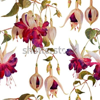 Tapeta Storczyk kwiaty orchidea przyroda do salonu
