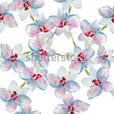 Tapeta Sypialnia orchidee storczyk przyroda natura