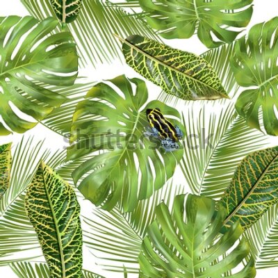 Tapeta Tropikalne liście i żaby
