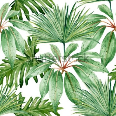 Tapeta Tropikalne liście na białym tle