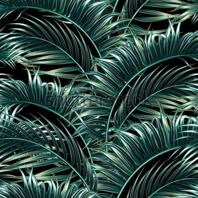 Tapeta Tropikalne liście palmowe na czarnym tle