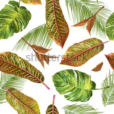 Tapeta Tropikalne liście palmy