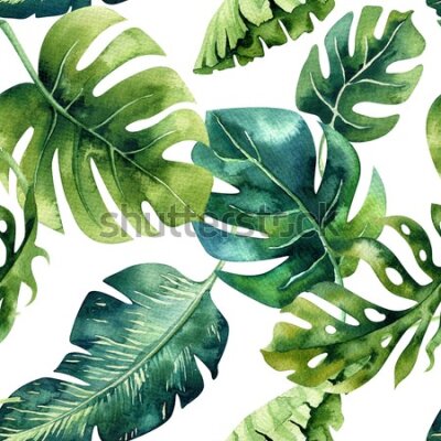 Tapeta Tropikalne liście w odcieniach zieleni
