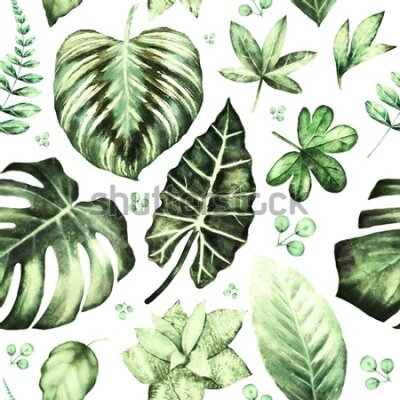 Tapeta Tropikalne liście zieleń