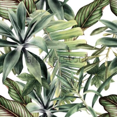 Tapeta Tropikalne rośliny i liście malowane akwarelą